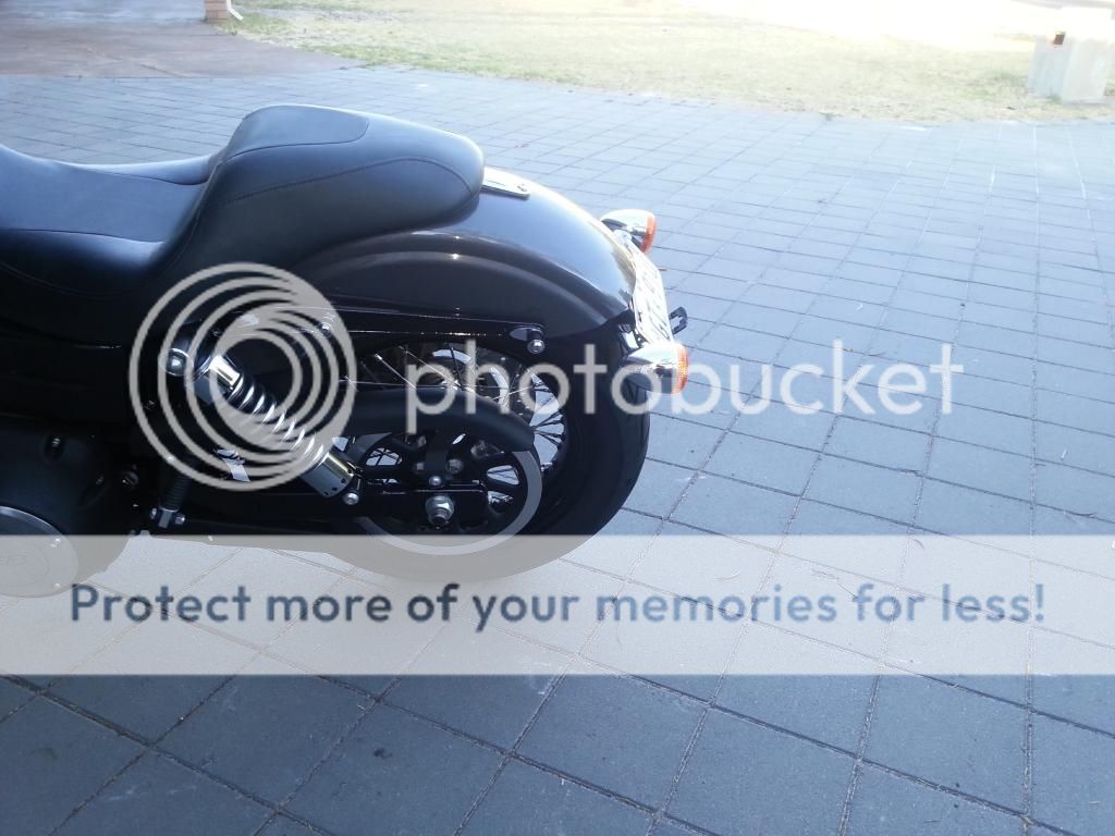 street bob tail tidy